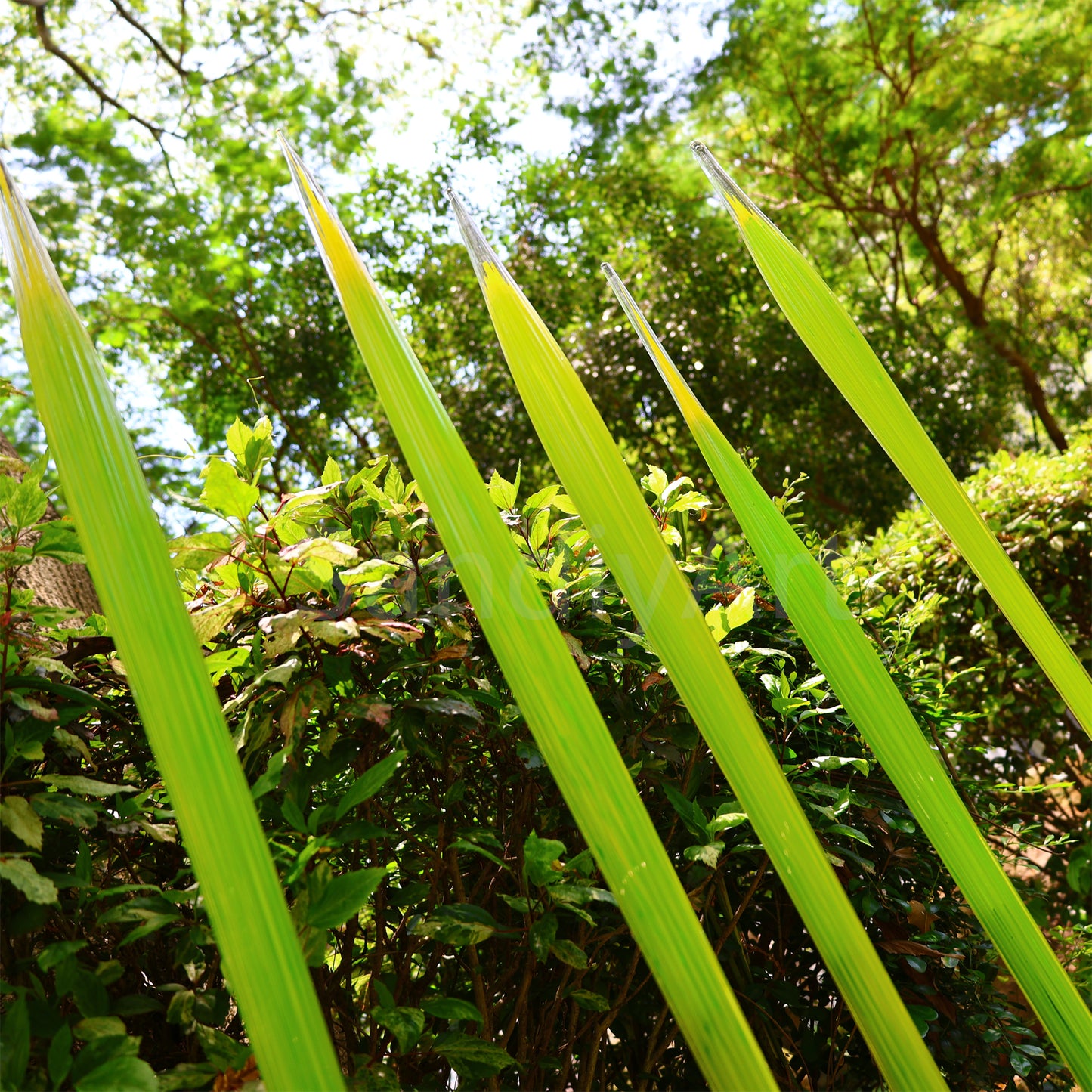 Bright green hand made blown glass sticks decoration similar chihuly garden glass decoration