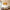 Glass floral ceiling light dining room modern style custom design art