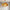 Glass floral ceiling light dining room modern style custom design art