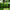 Bright green hand made blown glass sticks decoration similar chihuly garden glass decoration