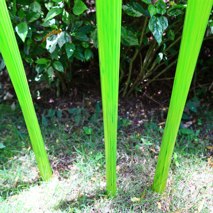 Bright green hand made blown glass sticks decoration similar chihuly garden glass decoration