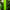 Bright green hand made blown glass sticks decoration similar chihuly garden glass decoration