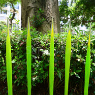 Bright green hand made blown glass sticks decoration similar chihuly garden glass decoration