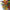 Colorful hand made DIY art glass chandeliers dining room decoration
