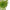 Green color Blown art glass chandelier natural style villa decoration