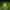 Green color Blown art glass chandelier natural style villa decoration