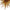 Luxury gold blown glass Artistic Pendant Light dining room decoration
