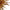 Luxury gold blown glass Artistic Pendant Light dining room decoration