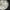 95cm Custom glass art white flower chandelier wholesale price