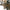 Modern luxury art mouth blown glass chandeliers for dining room