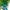Green color hand made blown Glass Chandelier natural style lighting