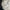DIY hand blown glass frosting white floral chandelier hotel lighting decoration
