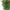 Natural shape and color glass chandelier green color for villa hotel decoration