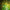 Natural shape and color glass chandelier green color for villa hotel decoration
