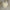 Hand made blown contemporary blown glass chandelier white color for dining room