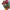 Hand made blown glass bubble chandelier colorful dining room lighting decoration