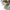 Factory sale directly of blown glass chandelier lighting luxury style