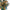 Gold and teal color glass chandelier luxury style lighting custom
