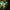 Gold and teal color glass chandelier luxury style lighting custom