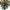 Gold and teal color glass chandelier luxury style lighting custom