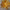 Luxury modern art mini glass gold chandelier luxury art