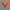 Wedding holiday festival decoration blown glass red chandelier art