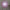 Chihuly lighting art hand made blown glass pink chandelier dining room decoration