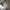 Fashion design white mixed green grey color hand made blown glass chihuly style art chandelier