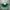 Bring a fresh breath of nature feeling green grass chandelier lighting dining room decoration