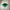 Bring a fresh breath of nature feeling green grass chandelier lighting dining room decoration