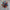 Where to buy chihuly style blown glass colorful flower chandelier