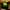 Green glass grass chandelier