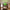 Green glass grass chandelier