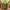 Green glass grass chandelier