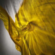 Amber color Inspired Chihuly frilled bowl hand made blown glass art