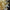 Luxury gold color blown glass chandelier lighting custom design