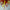 Modern dining room chandelier lighting glass red and orange, yellow color mixed