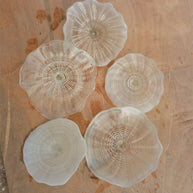 Hand made mouthblown glass white platters wall decoration Chihuly Persian plate