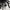 Hand made glass black chandelier special design